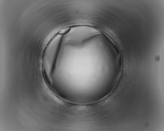 X0000113201188200909241351