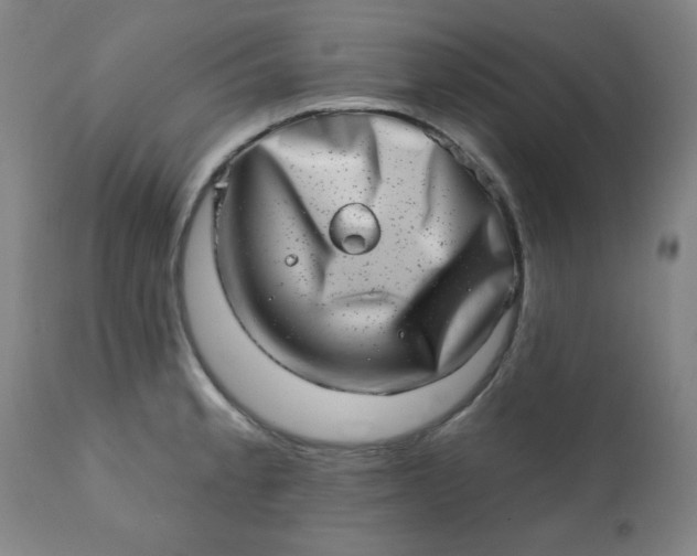 X0000113201189200909241351