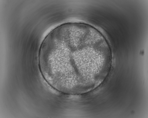 X0000113201191200909241351