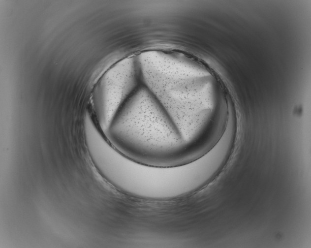 X0000113201193200909241351