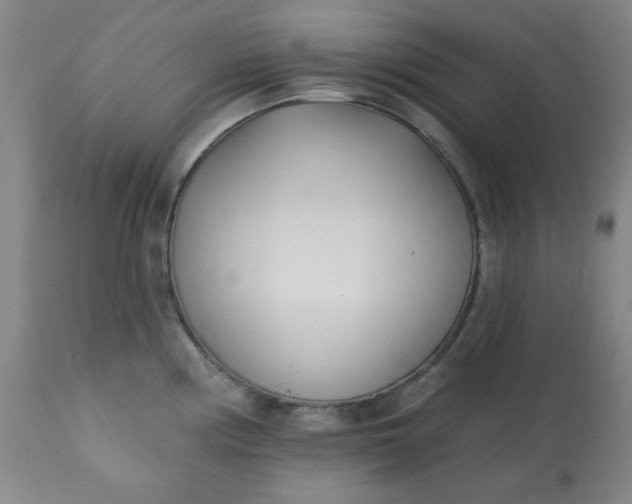 X0000113201194200909241351