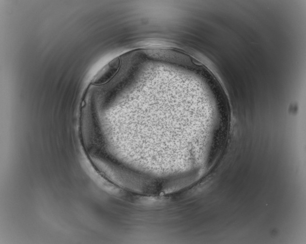 X0000113201195200909241351