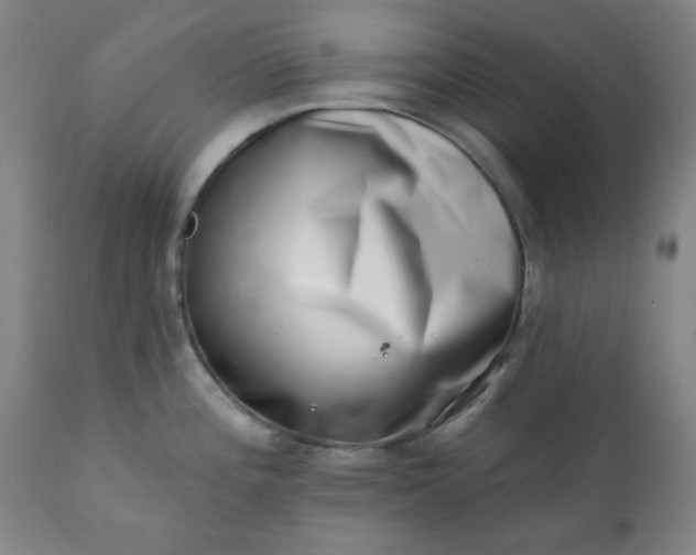 X0000113201196200909241351