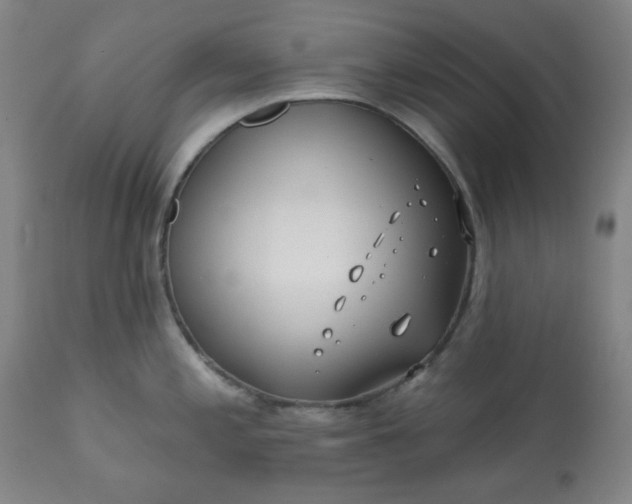 X0000113201197200909241351