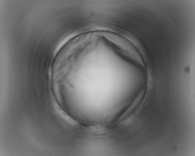 X0000113201198200909241351