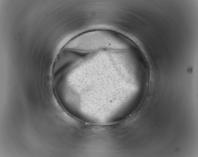 X0000113201199200909241351