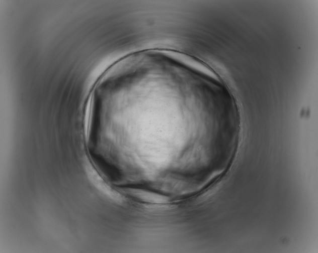 X0000113201200200909241350