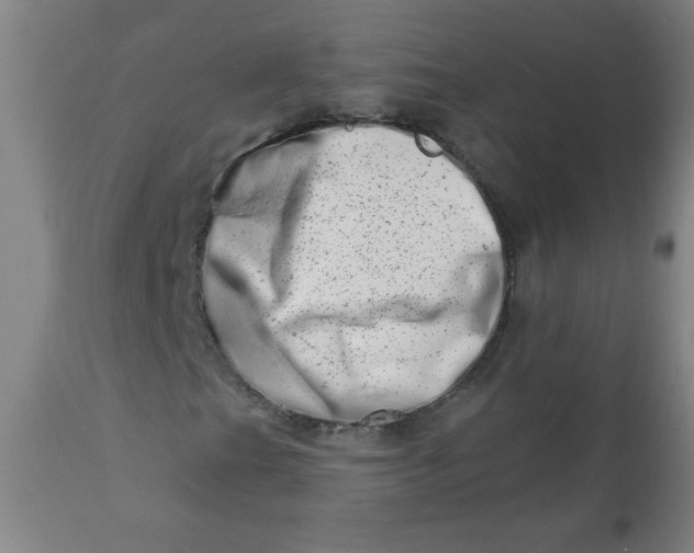 X0000113201201200909241350