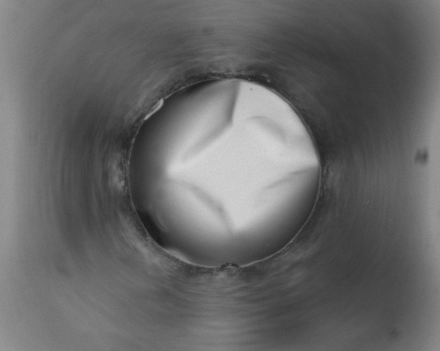 X0000113201202200909241350