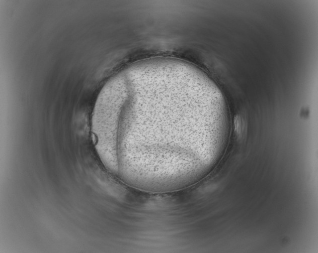 X0000113201203200909241350