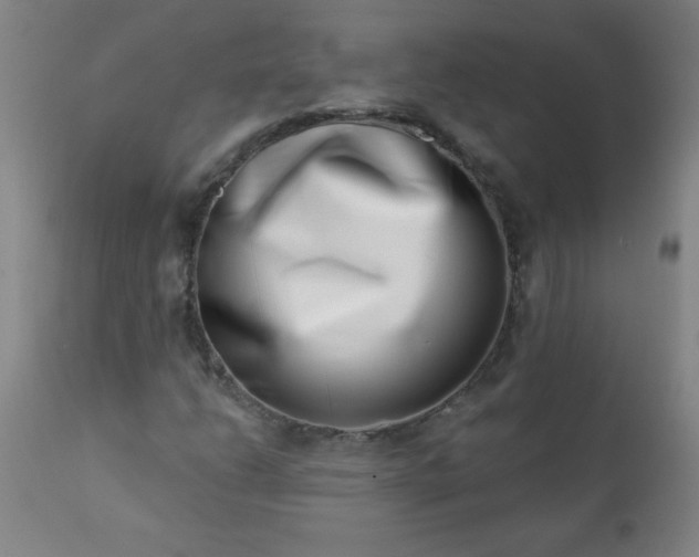 X0000113201206200909241350