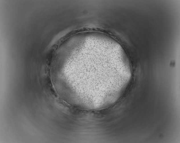 X0000113201207200909241350