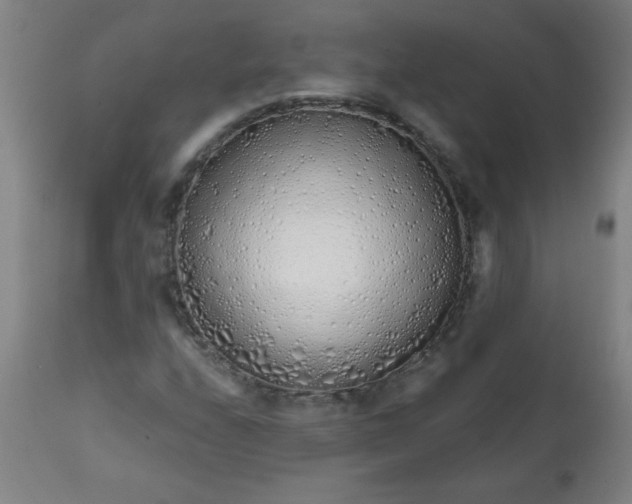 X0000113201208200909241350