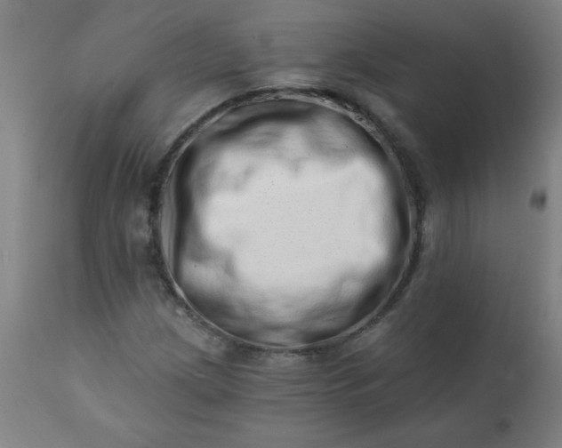 X0000113201209200909241350