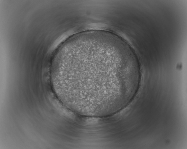 X0000113201211200909241350