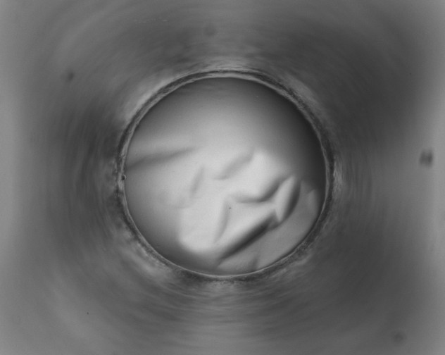 X0000113201212200909241350