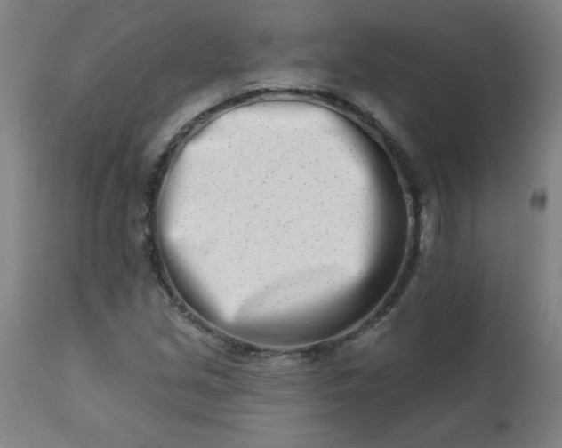 X0000113201213200909241350