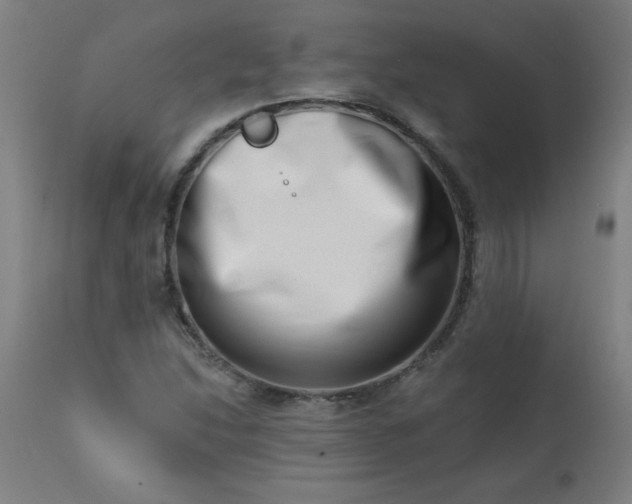 X0000113201214200909241350