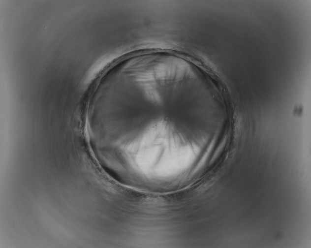 X0000113201215200909241350