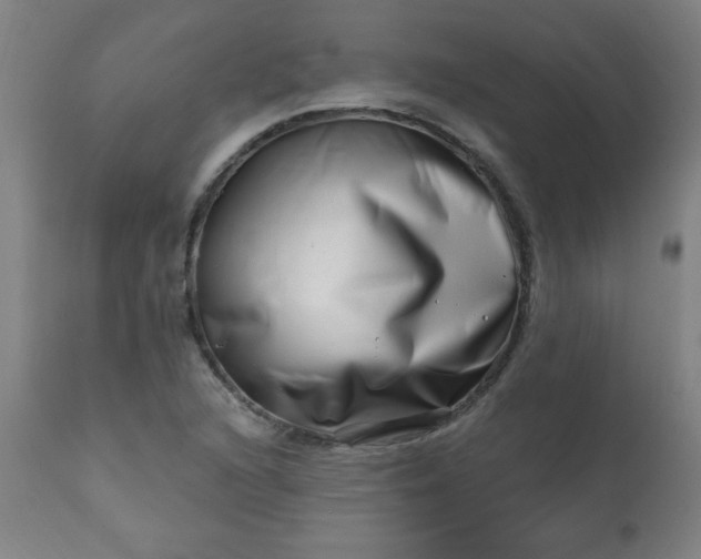 X0000113201216200909241350