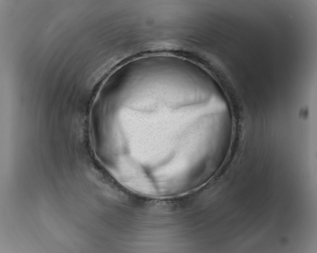 X0000113201217200909241350