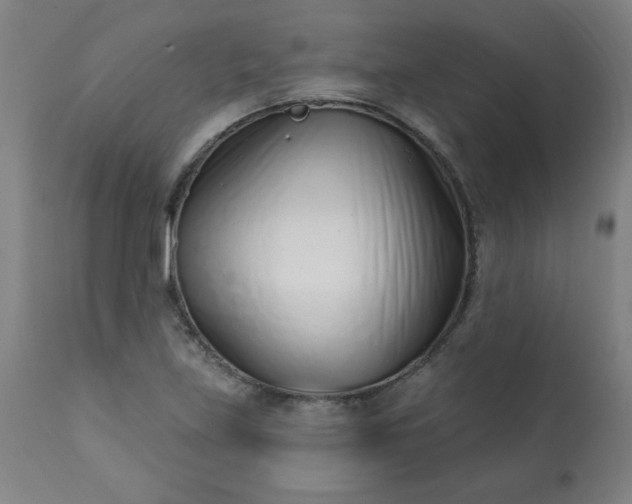 X0000113201219200909241350