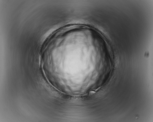 X0000113201221200909241350