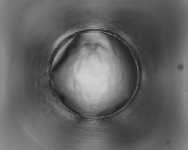 X0000113201222200909241350