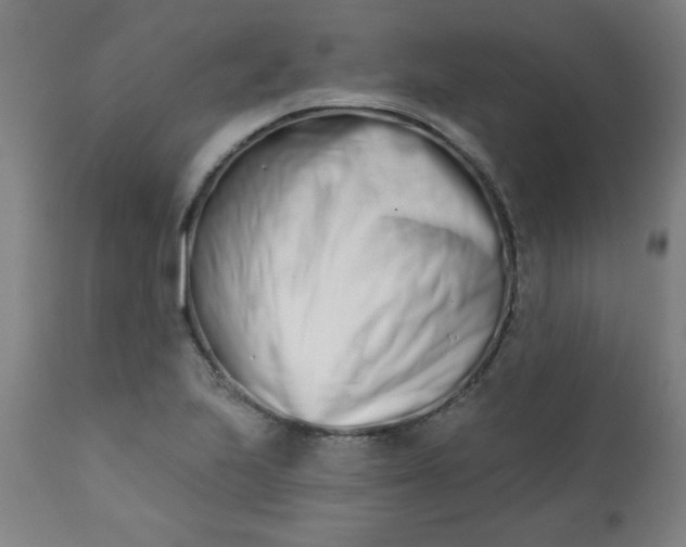 X0000113201223200909241350