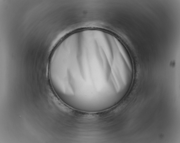 X0000113201224200909241350