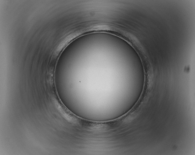 X0000113201225200909241350