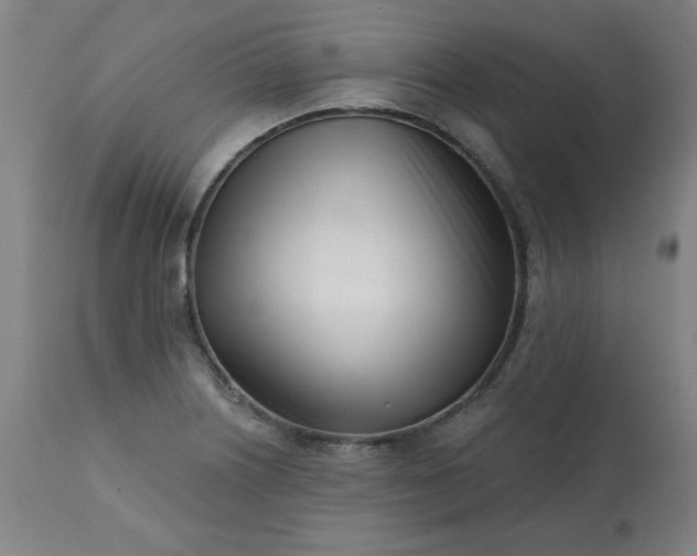 X0000113201226200909241350