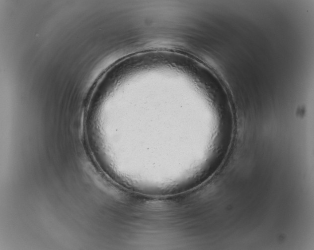 X0000113201227200909241350