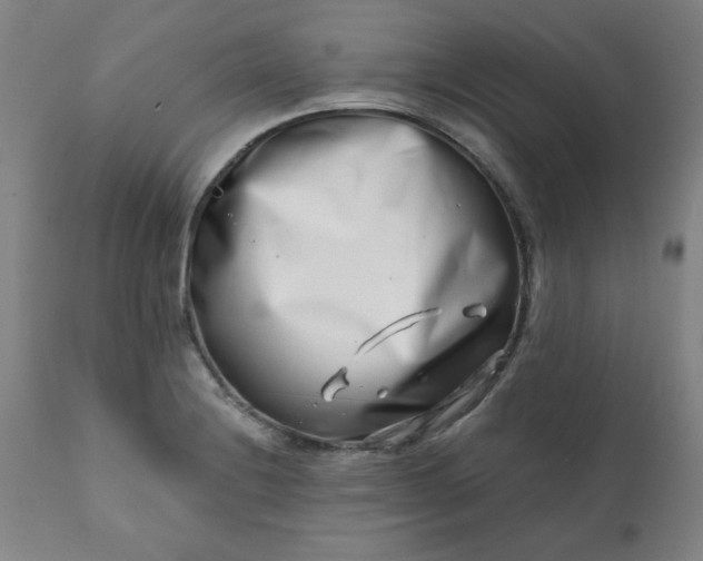 X0000113201228200909241350