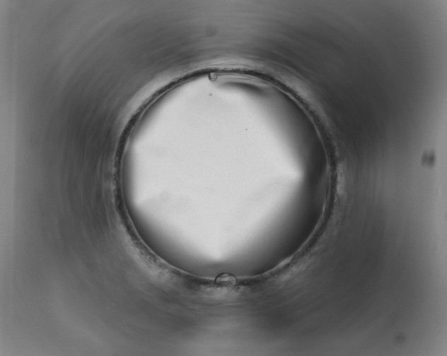 X0000113201229200909241350