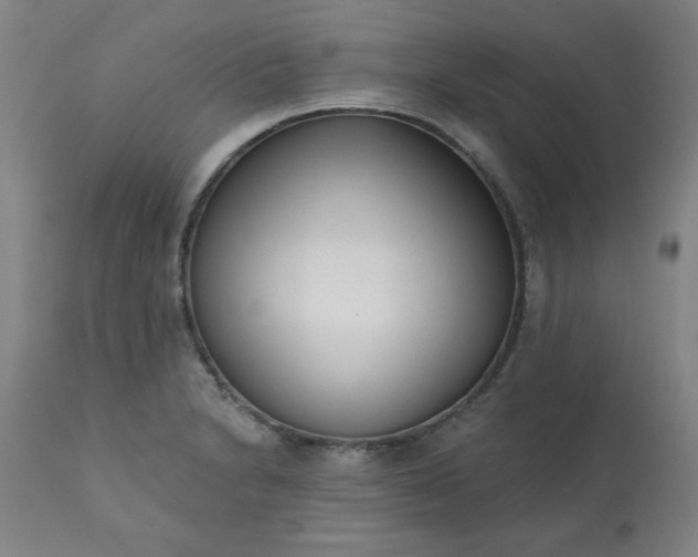 X0000113201230200909241350