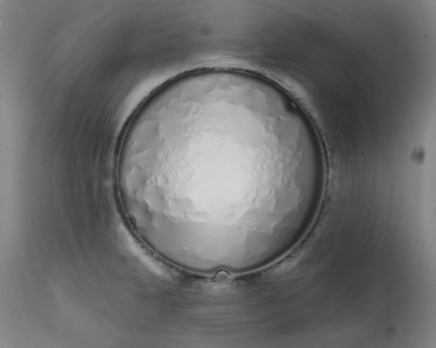 X0000113201231200909241350