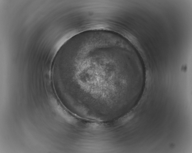 X0000113201234200909241350