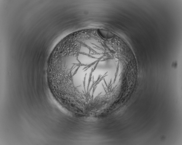 X0000113201235200909241350