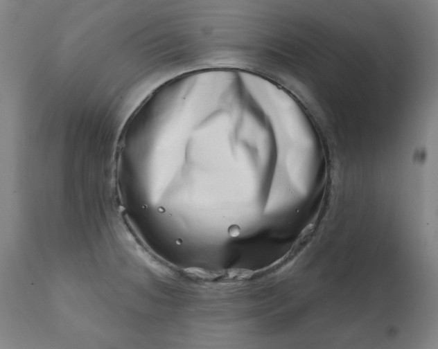 X0000113201236200909241350