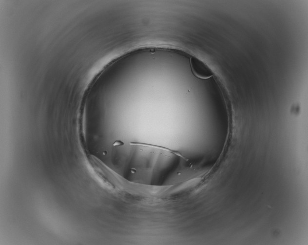 X0000113201237200909241350