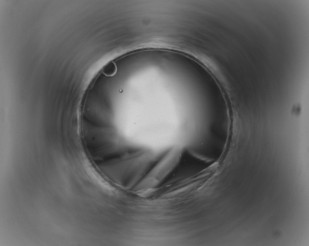 X0000113201238200909241350