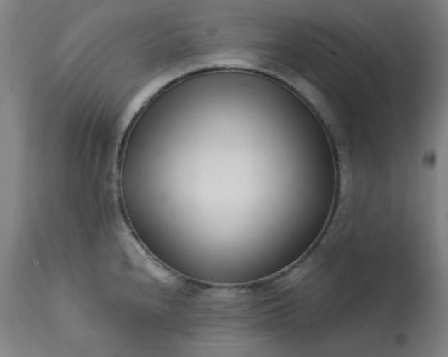 X0000113201240200909241350