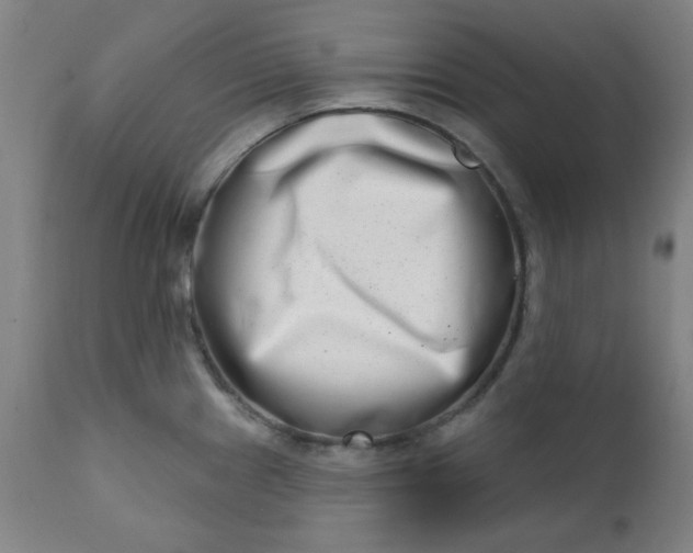 X0000113201241200909241350