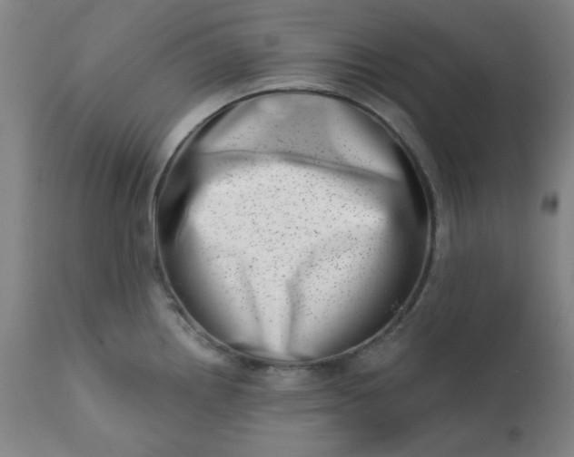 X0000113201242200909241350