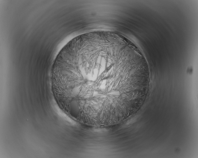 X0000113201243200909241350