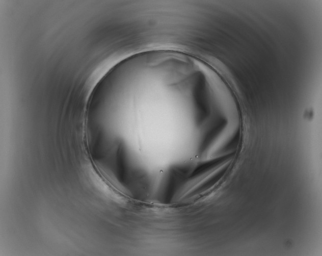 X0000113201244200909241350