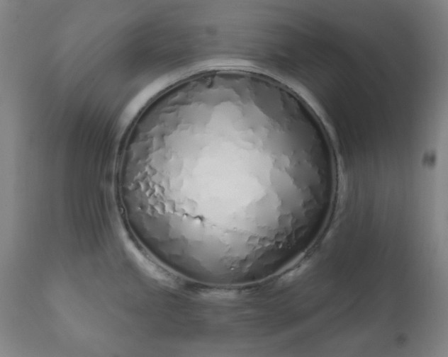 X0000113201245200909241350