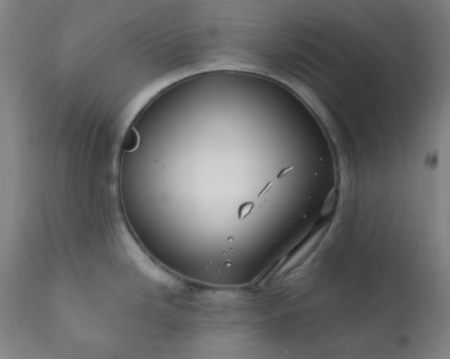 X0000113201246200909241350