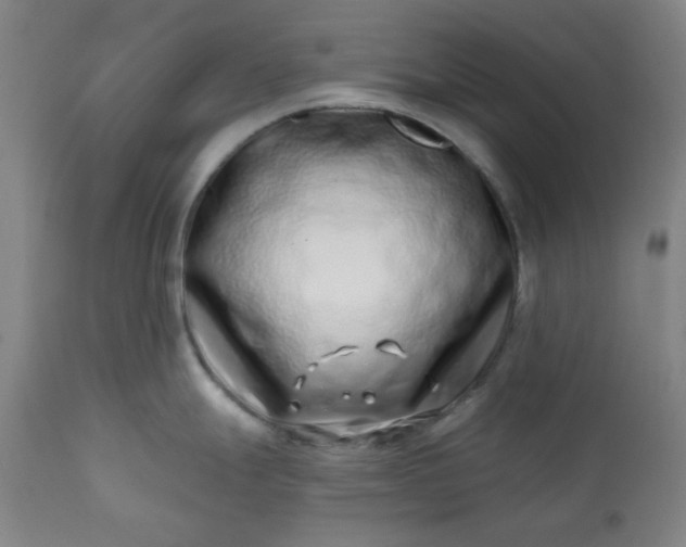 X0000113201247200909241350